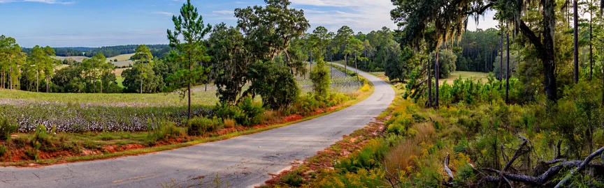 Road Trips from Augusta, GA: Exploring the Best of Georgia and Beyond